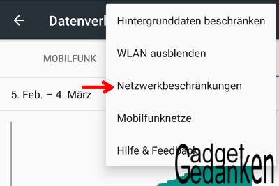 Schritt 3: Im Menü die "Netzwerkbeschränkungen" auswählen
